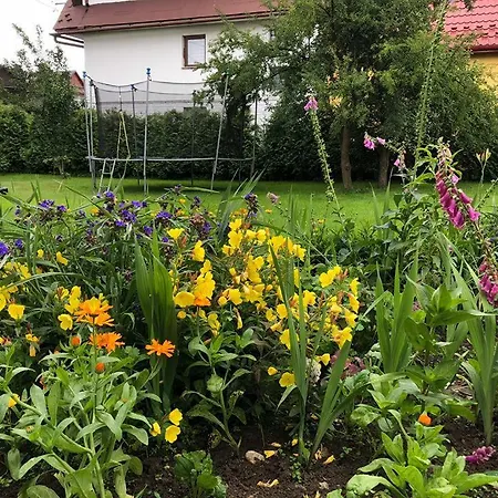 Country house Wynajem Pokoi *